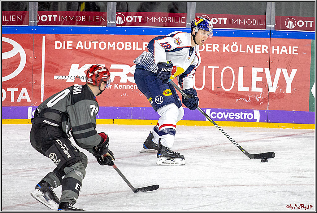 DEL; Koelner Haie - EHC Red Bull Muenchen, 17.02.2019